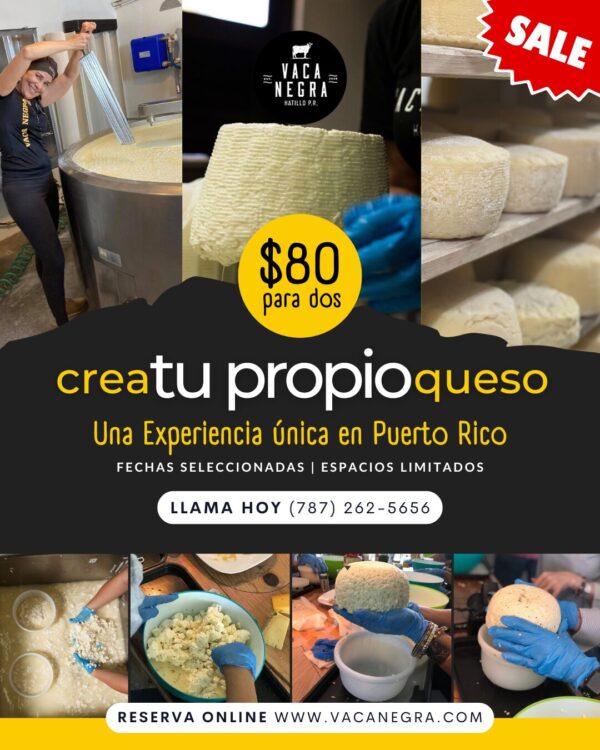 Make your own cheese SALE