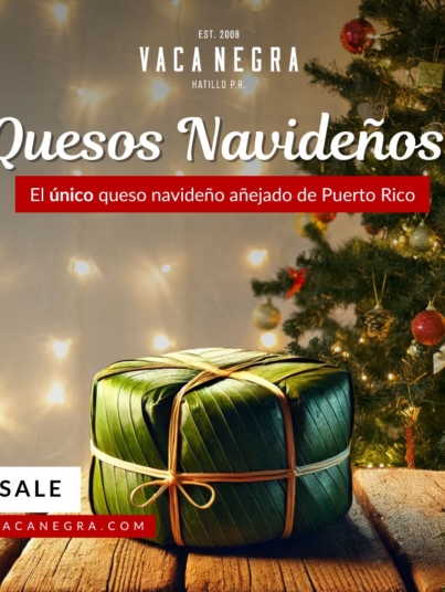 Queso Navideno (1080 x 1080 px) (5)