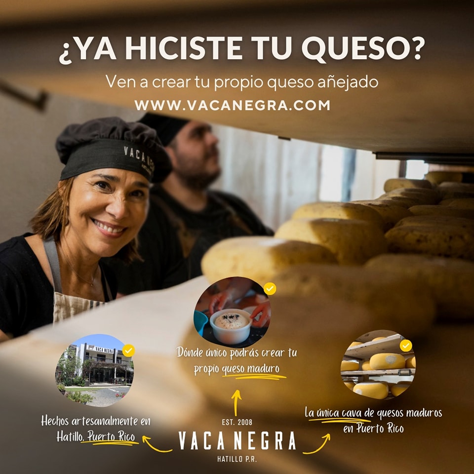 Make your own cheese SALE